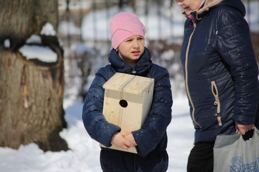 Воронежская школьница спасла от гибели зимующих птиц 