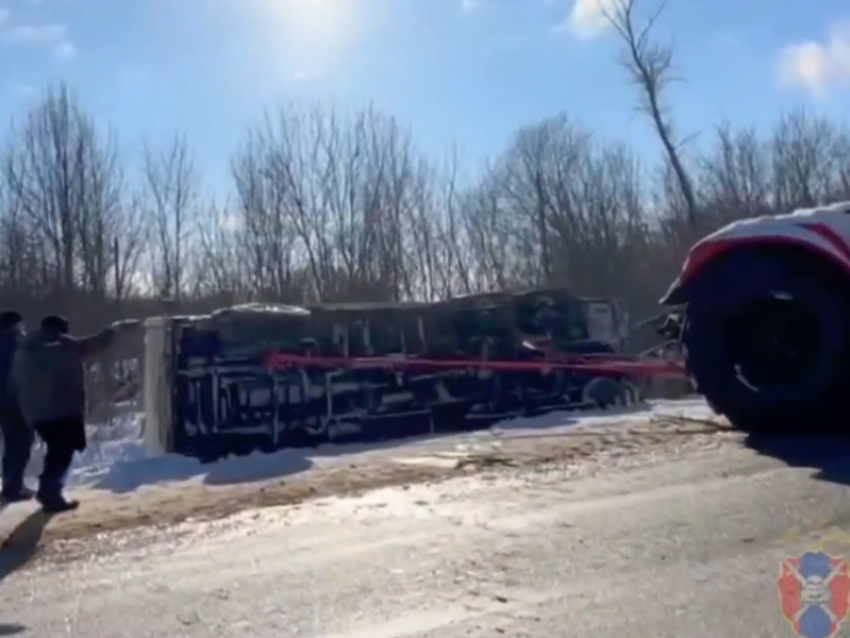 КамАЗ с кукурузой перевернулся на воронежской трассе – опубликовано видео 