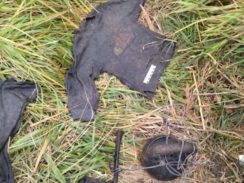 Следователи обратились к воронежцам из-за детских костей, найденных в Ленинградской области 