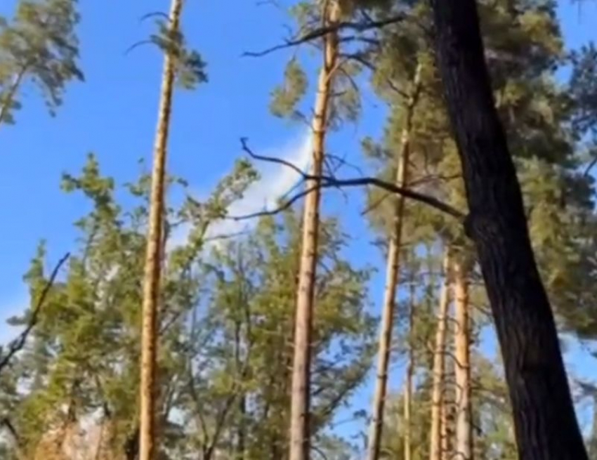 Тушение пожара с вертолета в Сомово запечатлели на видео в Воронеже