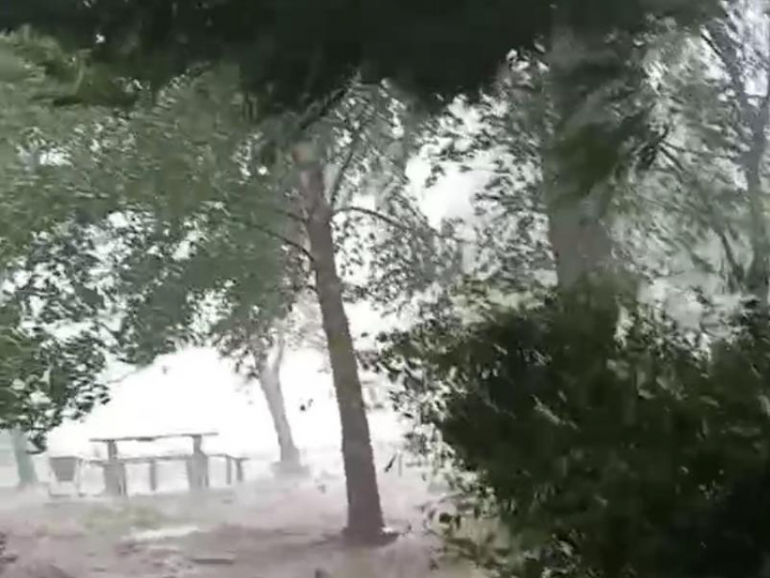 Мощь урагана, вырывавшего деревья с корнями, наглядно показали в Воронеже