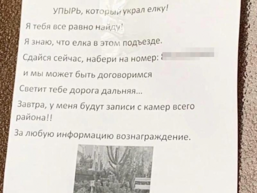 "Я тебя все равно найду", – воронежец разыскивает вора, укравшего елку