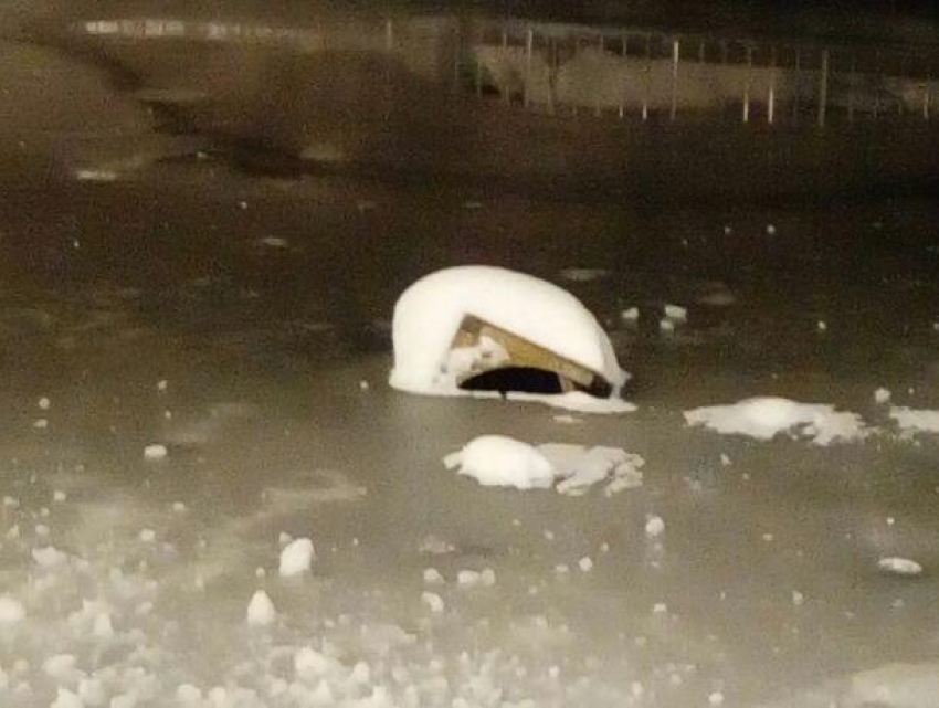 В Воронеже утонувший в пруду домик для уточки сняли на видео