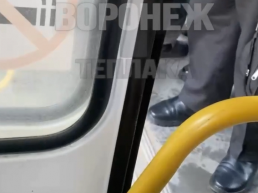 Водитель автобуса в Воронеже набросился на 13-летнего пассажира из-за проезда