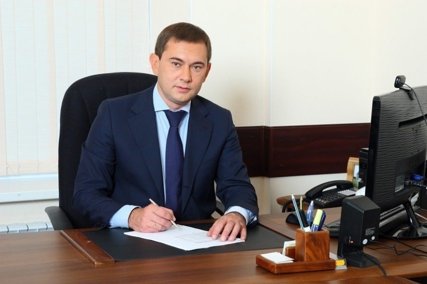 Владимир Нетесов: За счет сокращения импорта у отечественных аграриев появится больше возможностей для сбыта