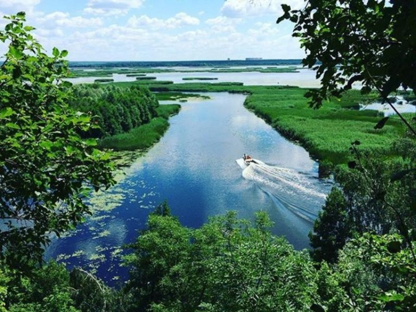 Протаранивший лодку водитель гидроцикла под Воронежем сдался силовикам