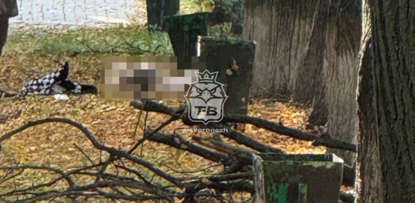 Тело девушки обнаружили возле Воронежского ГАУ