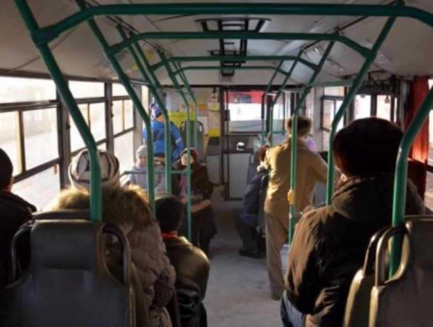 Воронежский маршрутчик заставил пассажиров «поседеть» от стресса