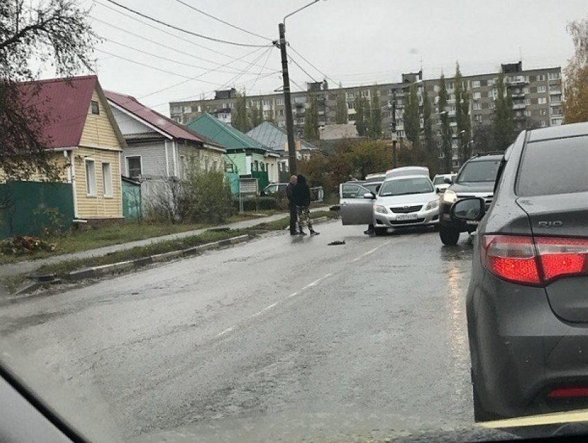 Воронежец попал в ДТП, пытаясь спасти котенка 