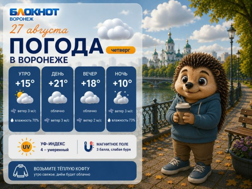 Утепляемся: прогноз погоды в Воронеже