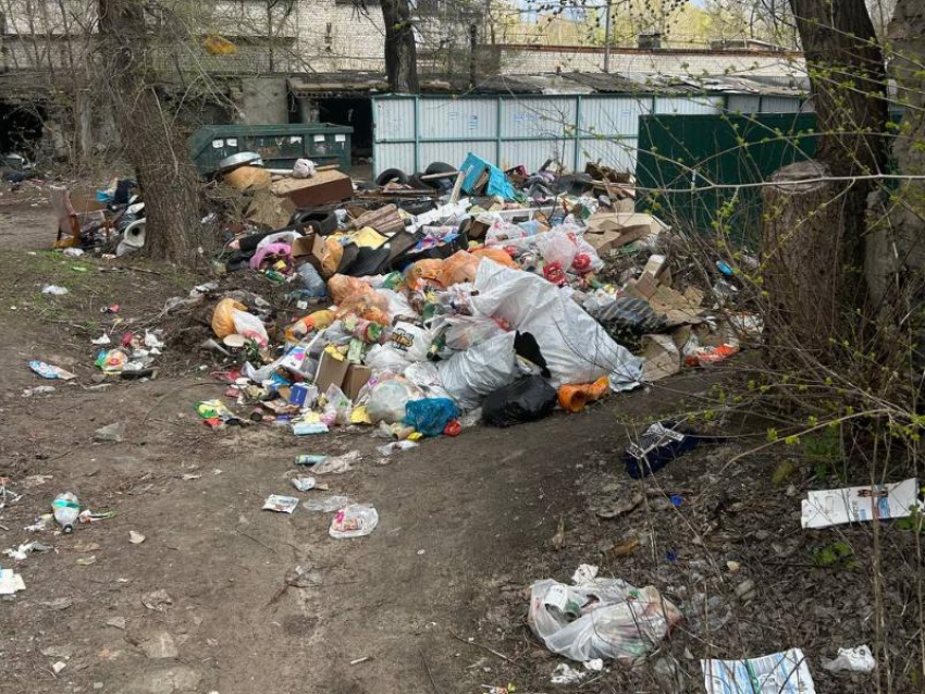 Огромные горы мусора и вонючие контейнеры атаковали два двора в Воронеже