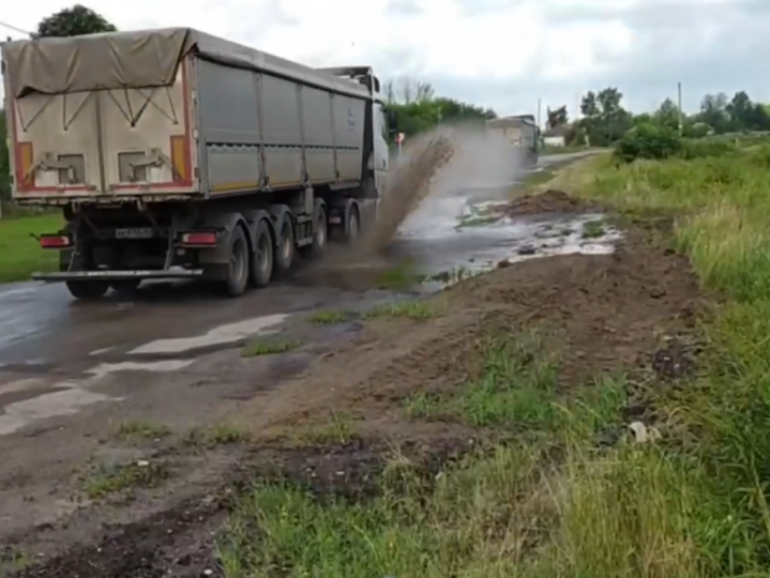 Общественники готовы ткнуть чиновников в то, что кошмарит воронежцев 