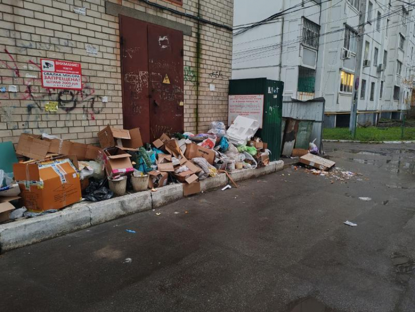  Лень дойти до мусорки – воронежцы закидали отходами электроподстанцию