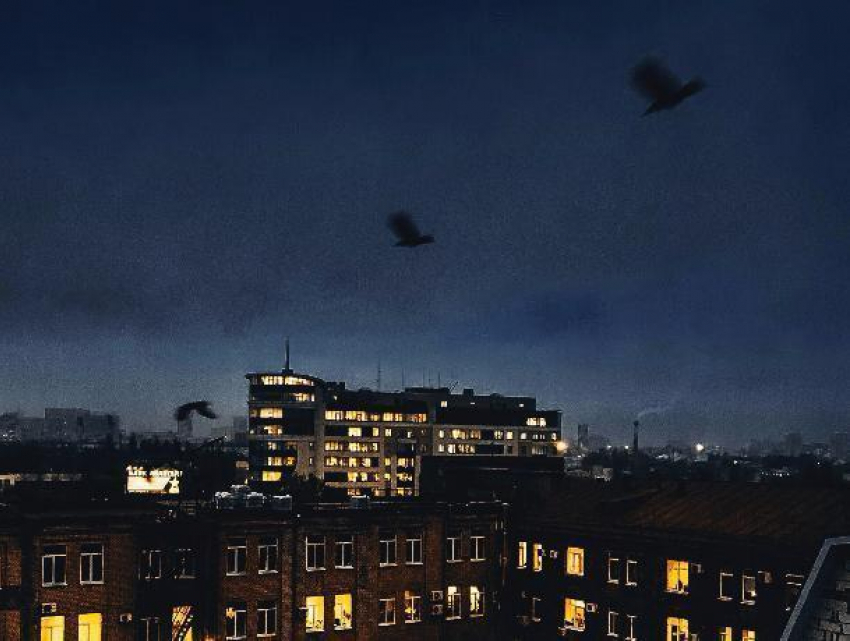 Мрачное фото с птицами напомнило воронежцам о потустороннем мире
