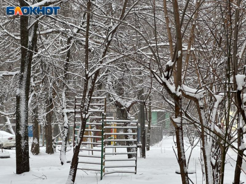 Аномальная опасность задержится в Воронежской области 