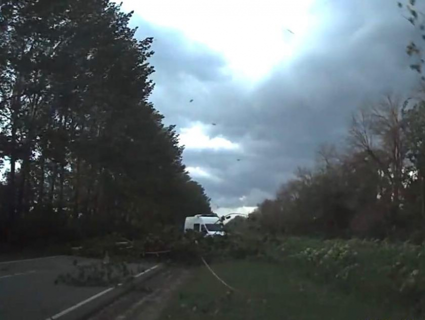 Последствия урагана показали на видео в Воронежской области 