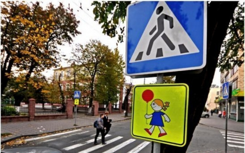 В Воронеже возле школ установили светодиодные индикаторы и восстановили 62 дорожных знака