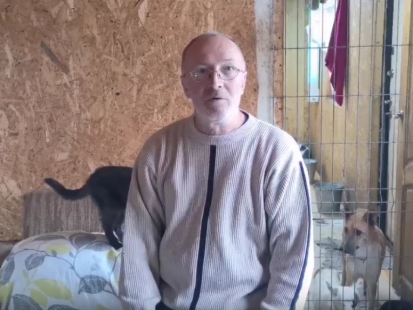 Зоозащитник сделал предположение, кто мог массово убить собак в воронежском приюте 