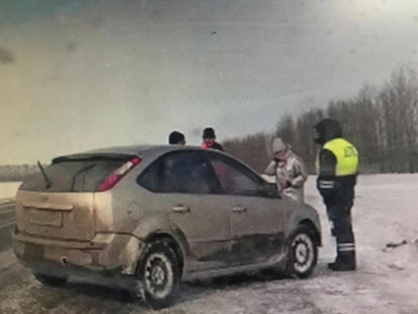 Полицейские помогли женщине с котом на воронежской трассе