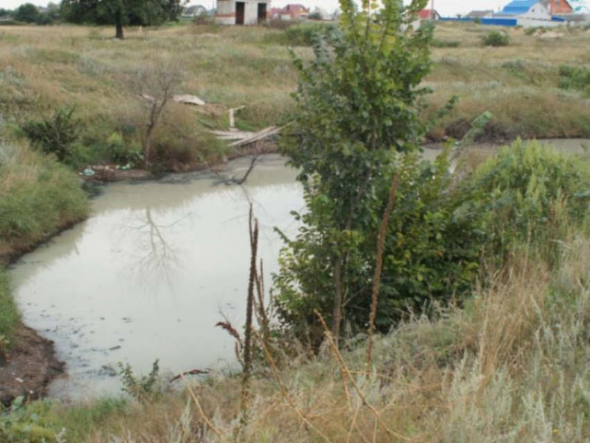 Активисты просят превратить грязную лужу обратно в озеро в микрорайоне Воронежа