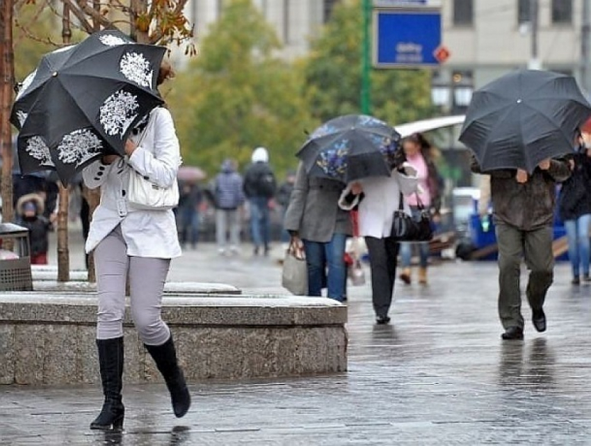 Дожди и потепление ждут воронежцев на выходных