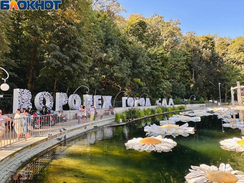 Лучший парк Воронежа выбрали жители города 