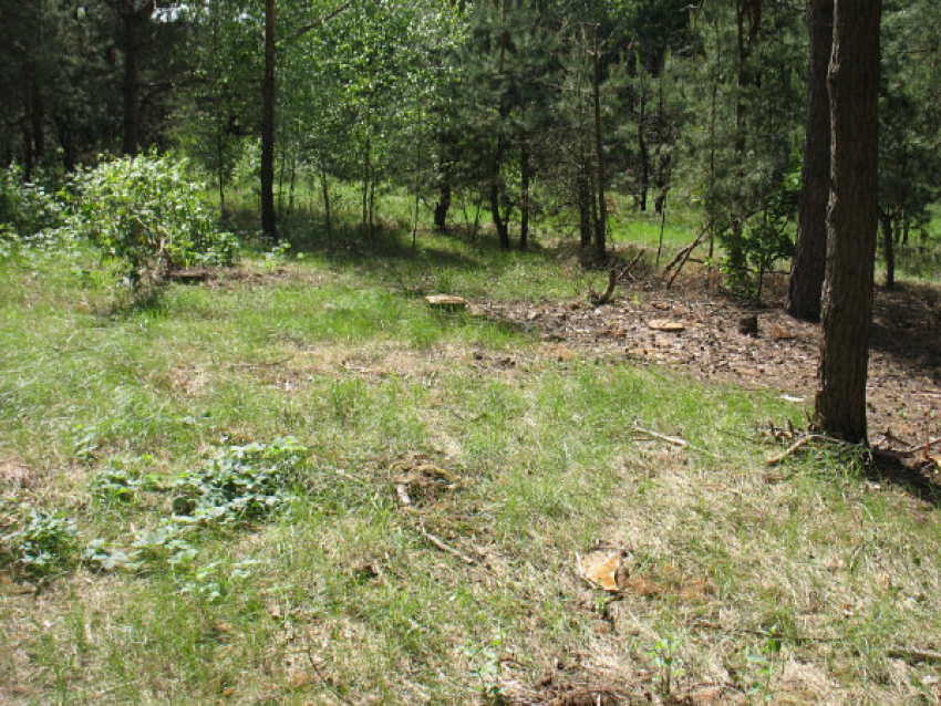 Следователи нашли убийцу пропавшего жителя Воронежской области 