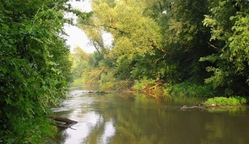 Воронежские спасатели достали из реки тело 34-летнего мужчины