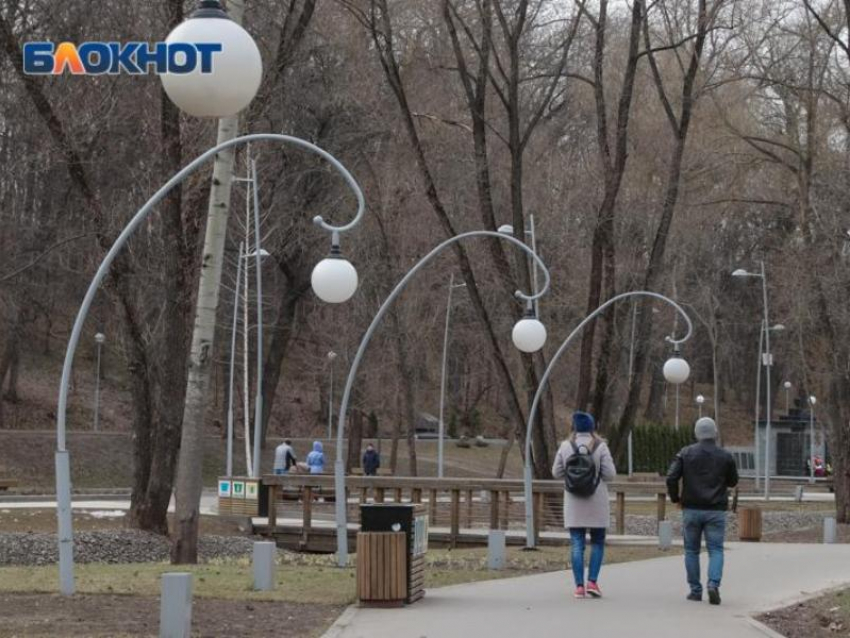 Мэрия Воронежа демонтировала тренажеры в Центральном парке, но есть и хорошая новость