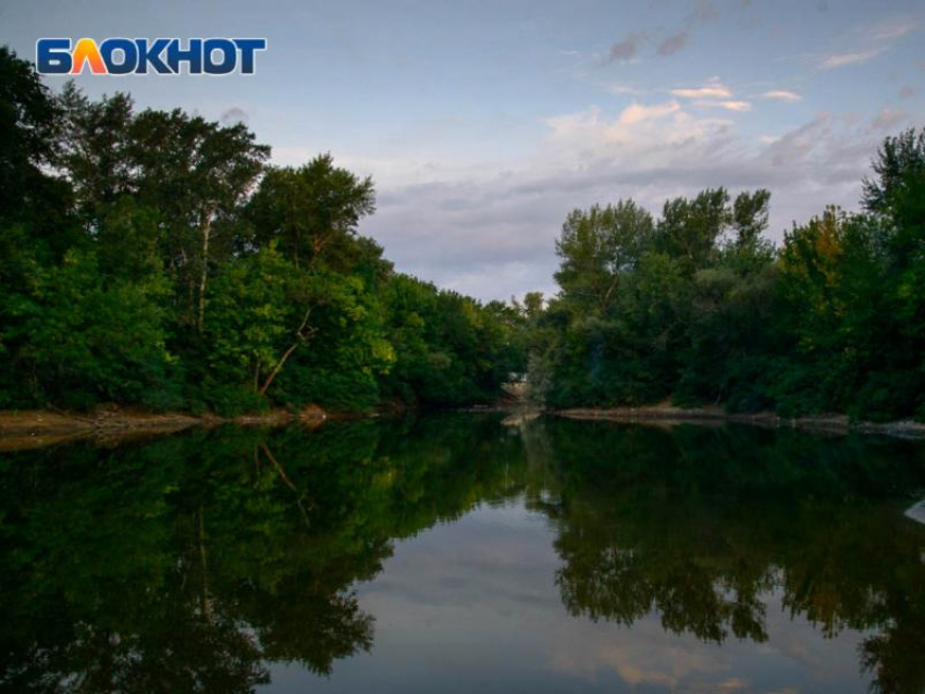 Конец недели порадует разноплановой погодой в Борисоглебске