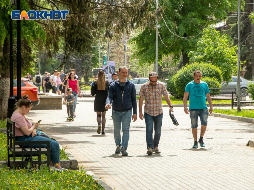 Ветер и прохладу обещают синоптики в начале рабочей недели в Воронежской области