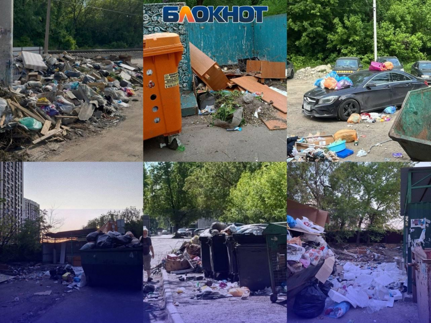 «Крик души, отчаяния и непонимания»: одна уборка в неделю, крысиные ямы и машина под слоем отходов - свежие мусорные хроники Воронежа