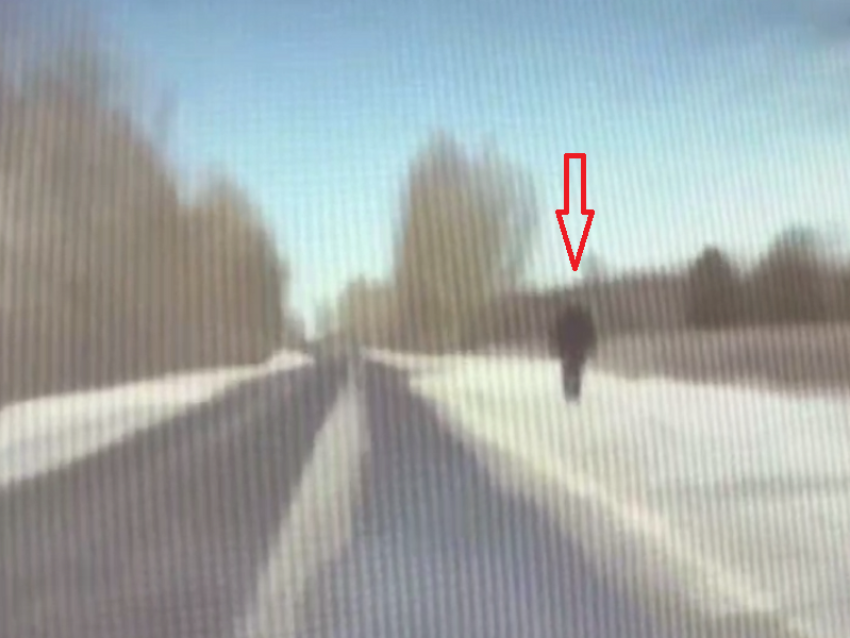 Взволнованный мужчина привлек внимание полиции в Воронежской области 