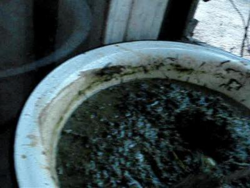 В Воронежской области полицейские поймали наркоманов за приготовлением конопляной каши