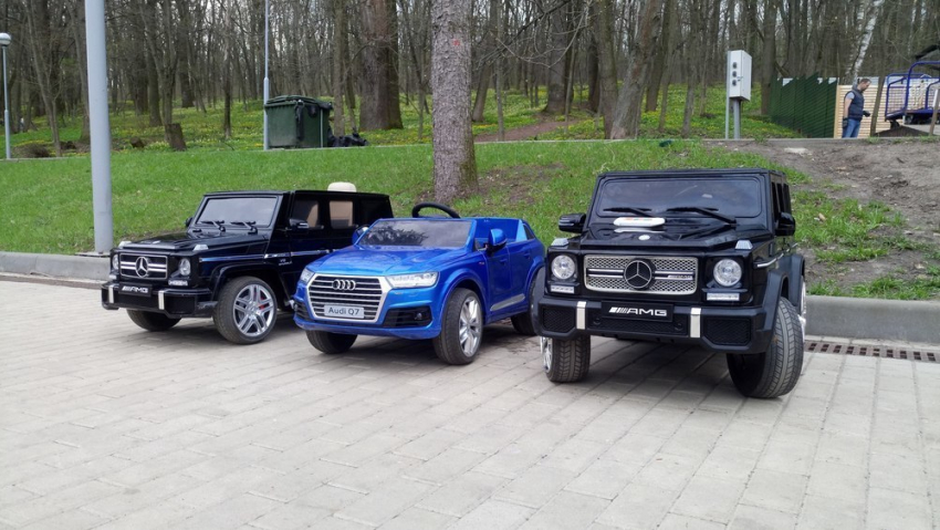 Жительница Воронежа показала три роскошных электромобиля