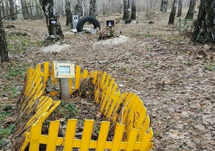На кладбище домашних животных наткнулись велосипедисты в Воронеже 