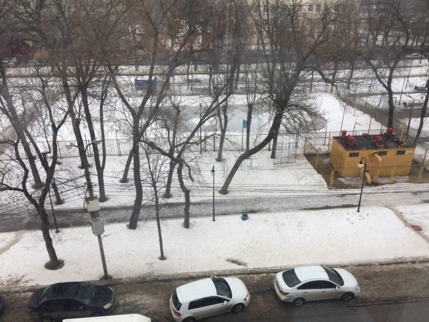 На рабочей неделе в Воронеже потеплеет до 7°C 