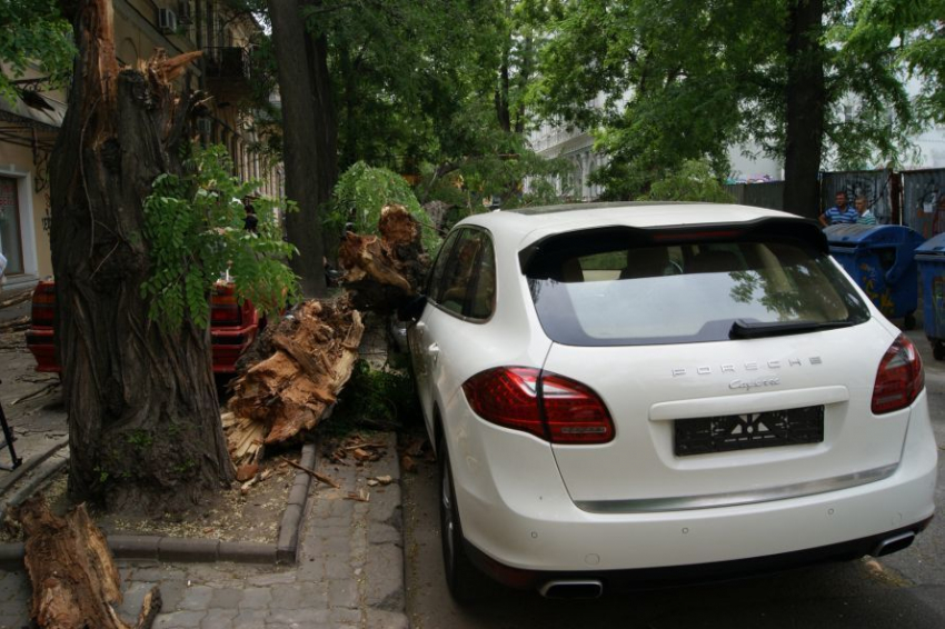 За ночь шквалистый ветер в Воронеже повалил 7 деревьев и уничтожил 2 автомобиля