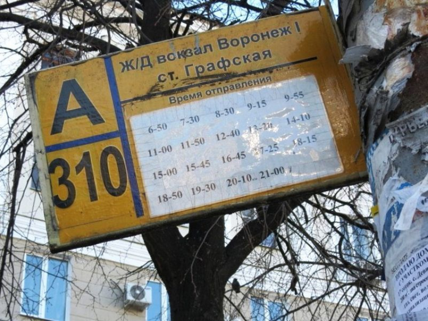 От мэра Вадима Кстенина воронежцы потребовали точного расписания транспорта