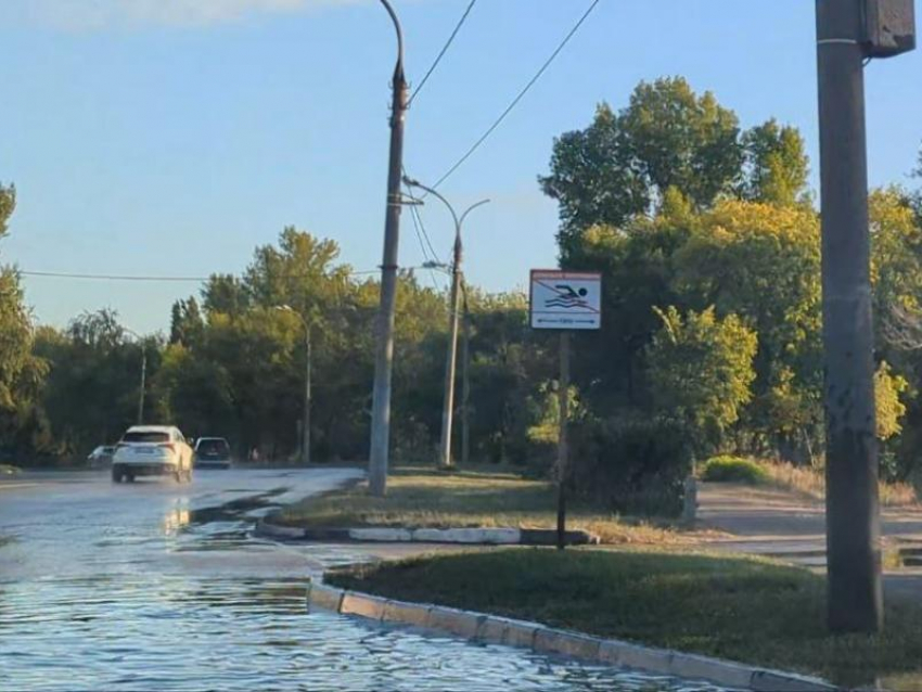 Воронежцам запретили купаться в огромной луже 