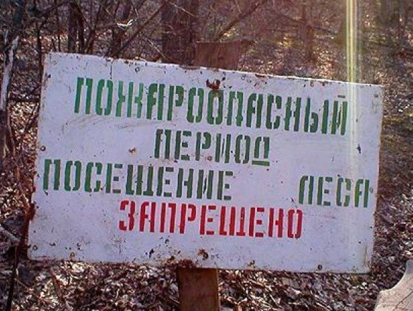 В Воронежской области сняли особый противопожарный режим