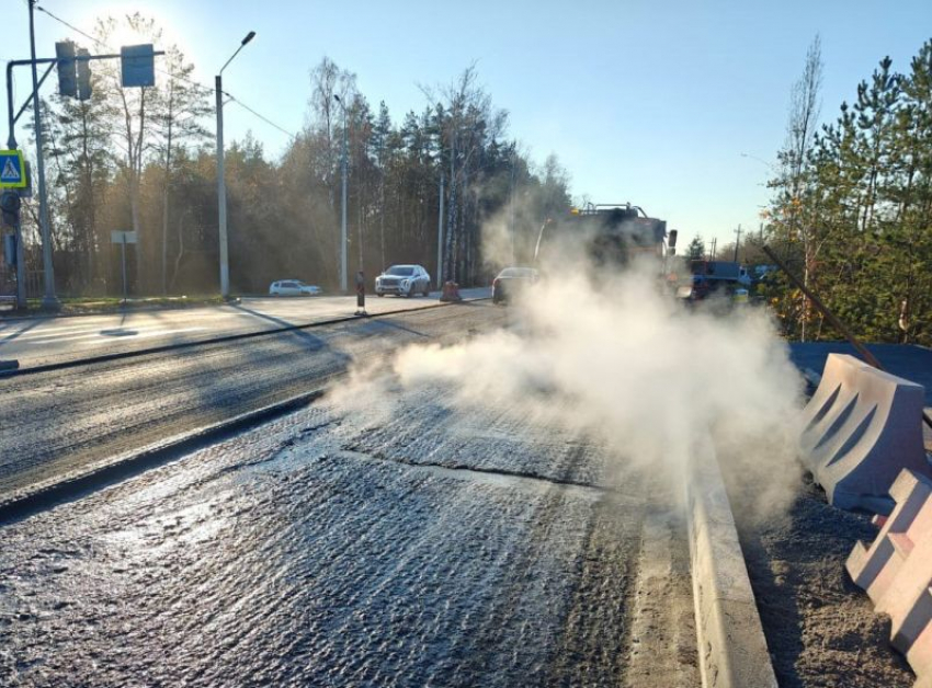 Полсотни деревьев вырубили ради проезда от Остужевской развязки в Воронеже