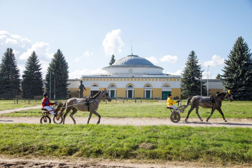 Хреновской конный завод отметил 250-летие в Воронежской области