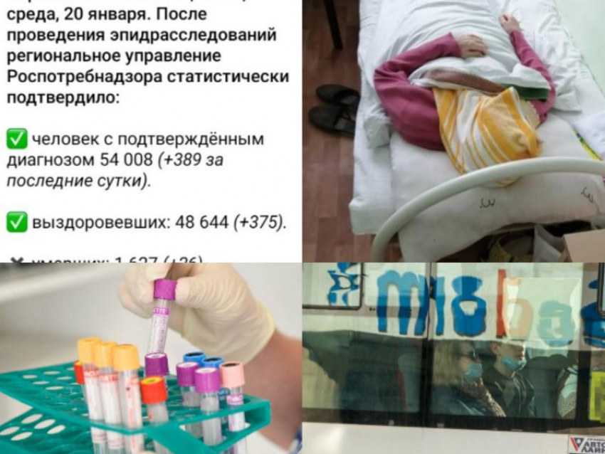 Коронавирус в Воронеже 20 января: 26 смертей, запреты УФСИН и антиковидная плазма