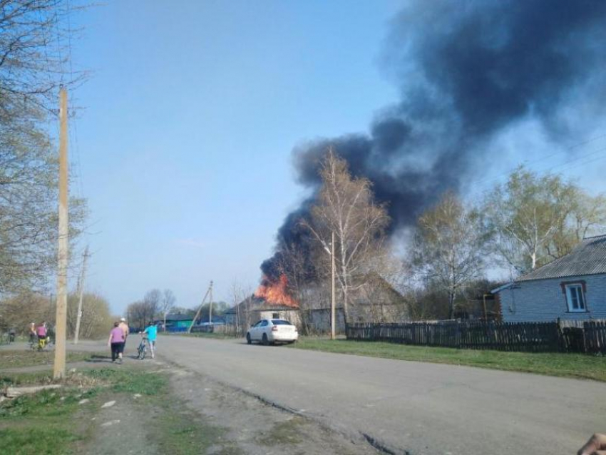 Воронежец решил подпалить траву, но сжег свой дом