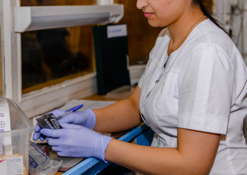 Сколько водителей мэрии Воронежа будут проверять на алкоголь и запрещенные вещества