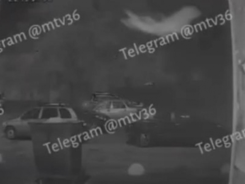 Странное нечто попало на камеру домофона в Воронеже