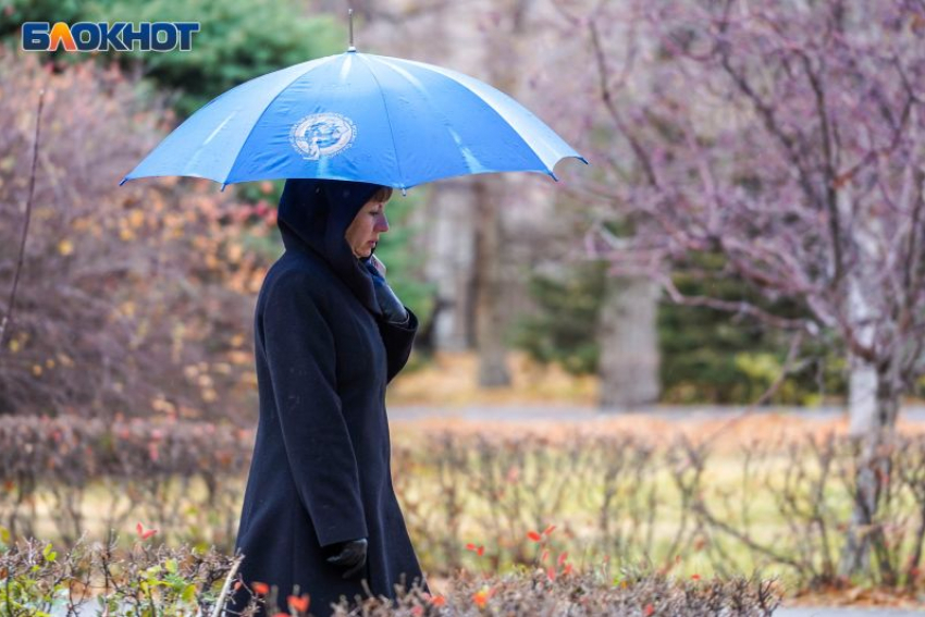 По-осеннему холодная неделя началась в Воронеже