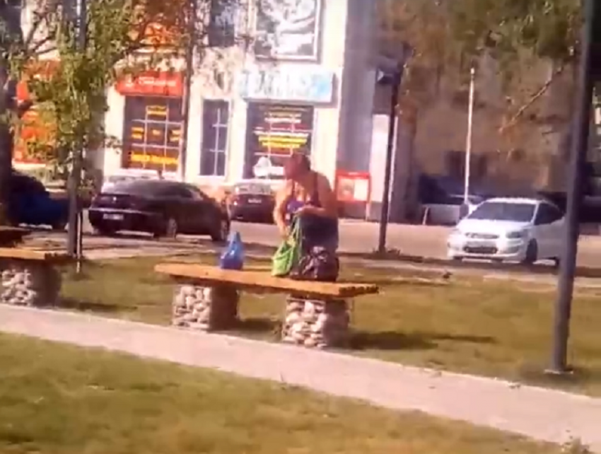 Циничное расхитительство парка сняли на видео в Воронежской области 
