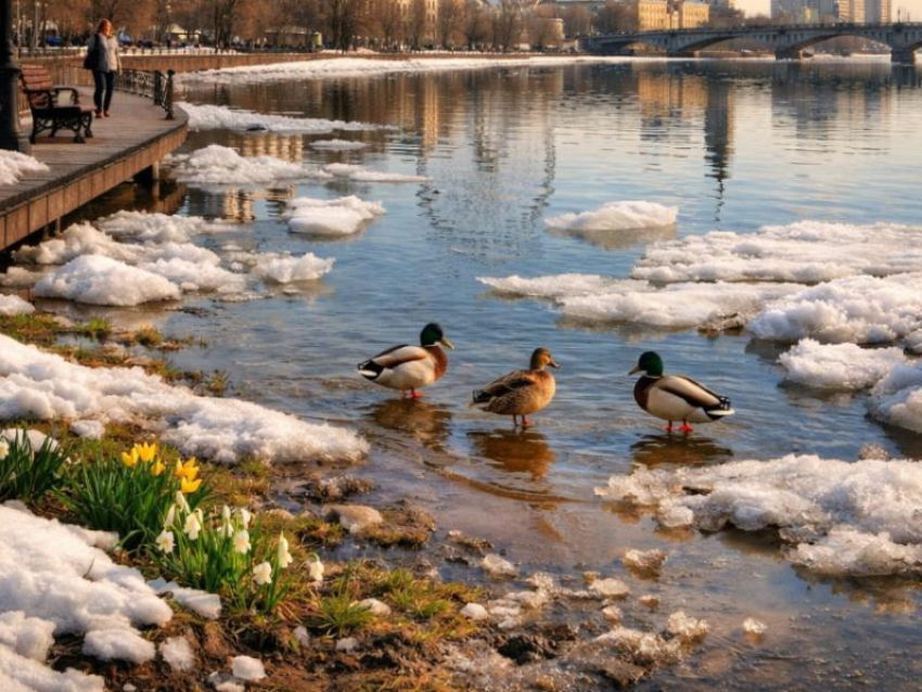 Юго-западный циклон вернет потепление в Воронежскую область 